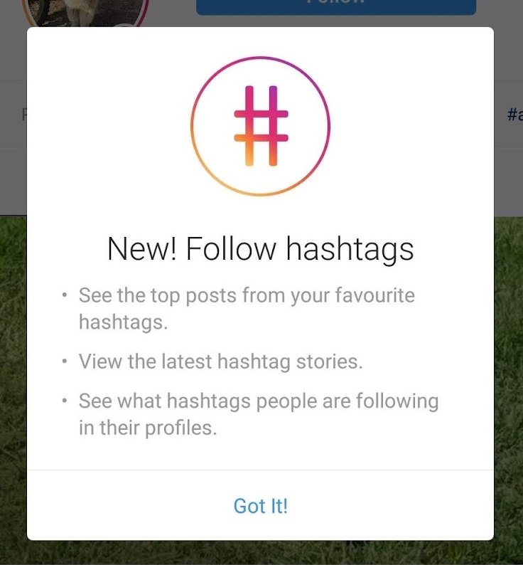 follow hashtags Instagram double tap example