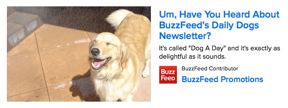 location-dedicated-page-buzzfeed