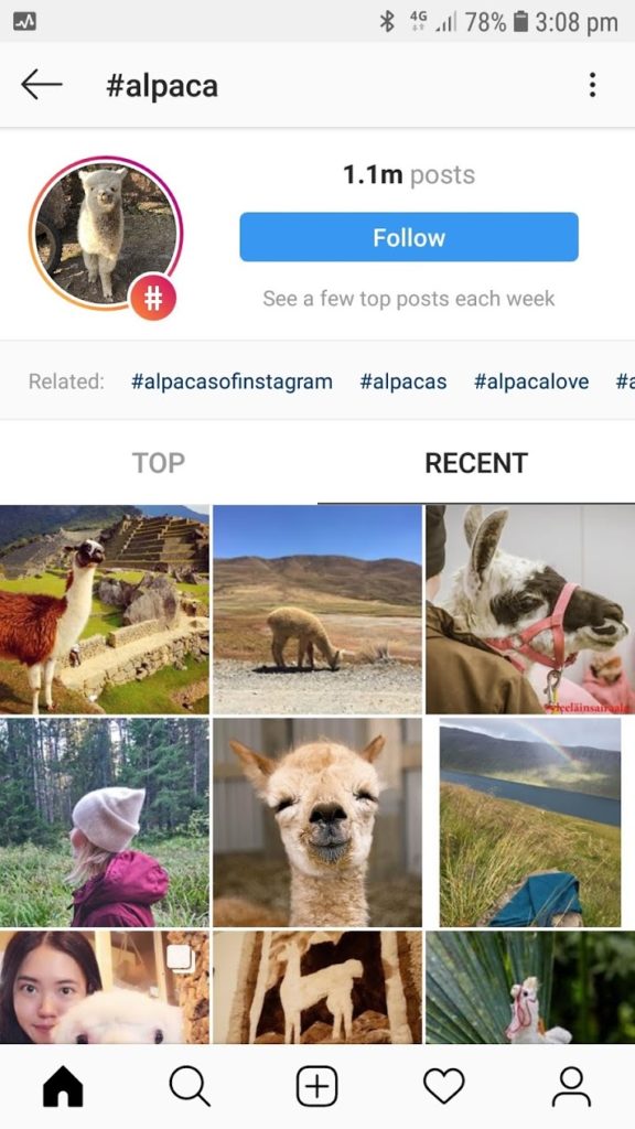 hashtags Instagram double tap example